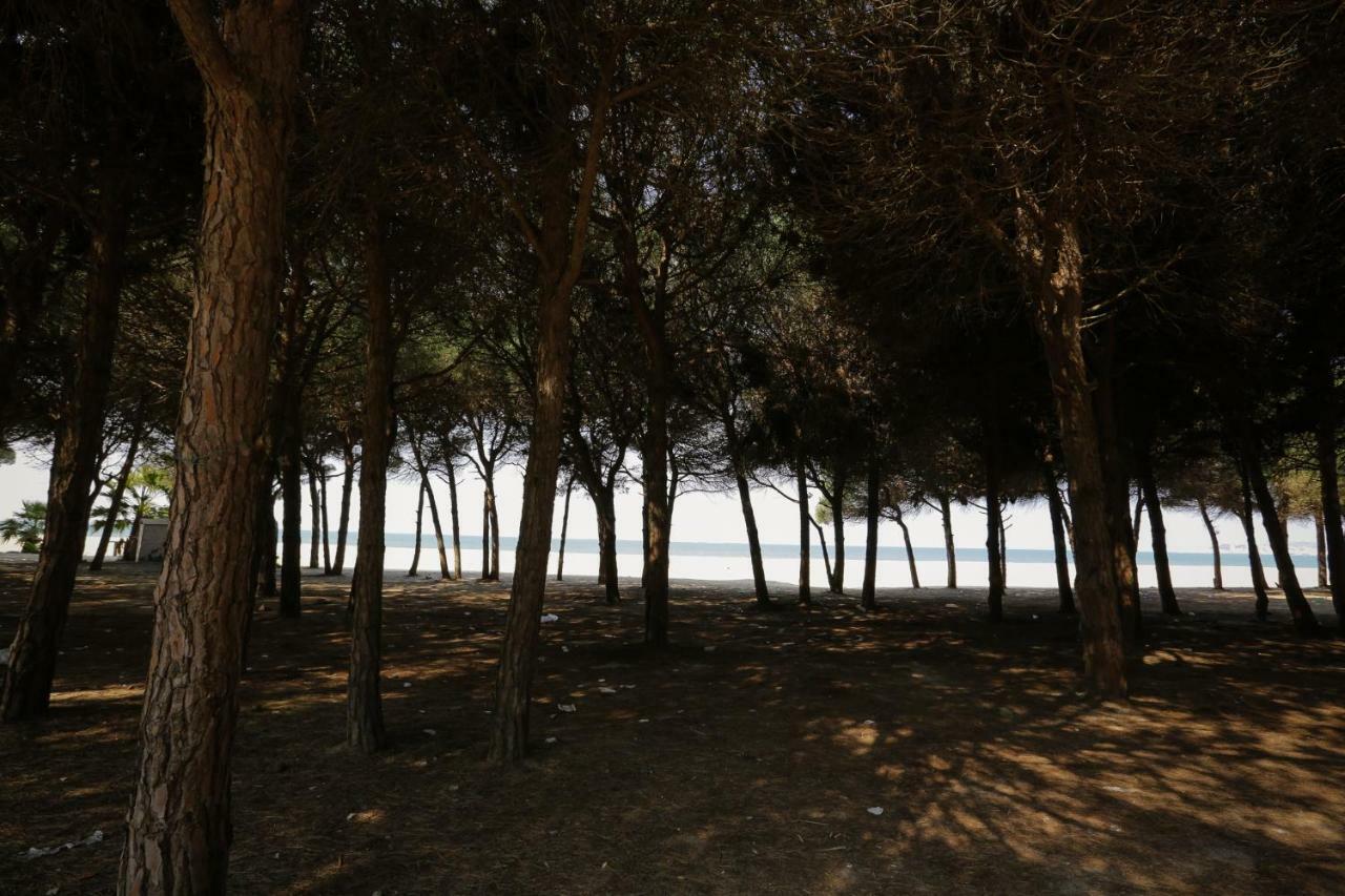 Pine-Tree Apt W/ Private Garden 50 M From The Sea Golem  Zewnętrze zdjęcie