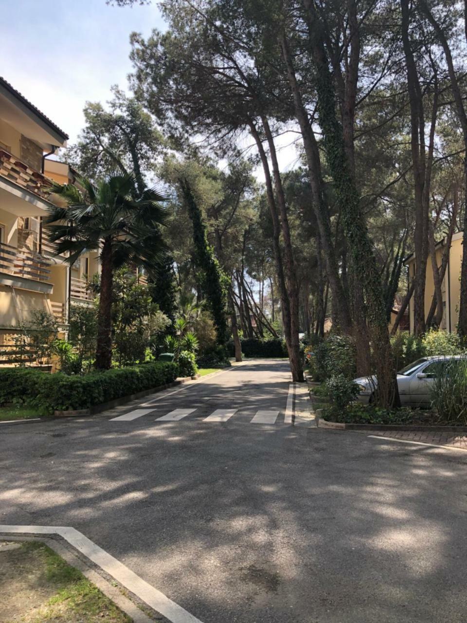 Pine-Tree Apt W/ Private Garden 50 M From The Sea Golem  Zewnętrze zdjęcie